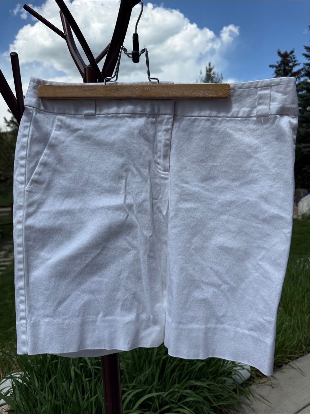 The Limited Drew fit shorts